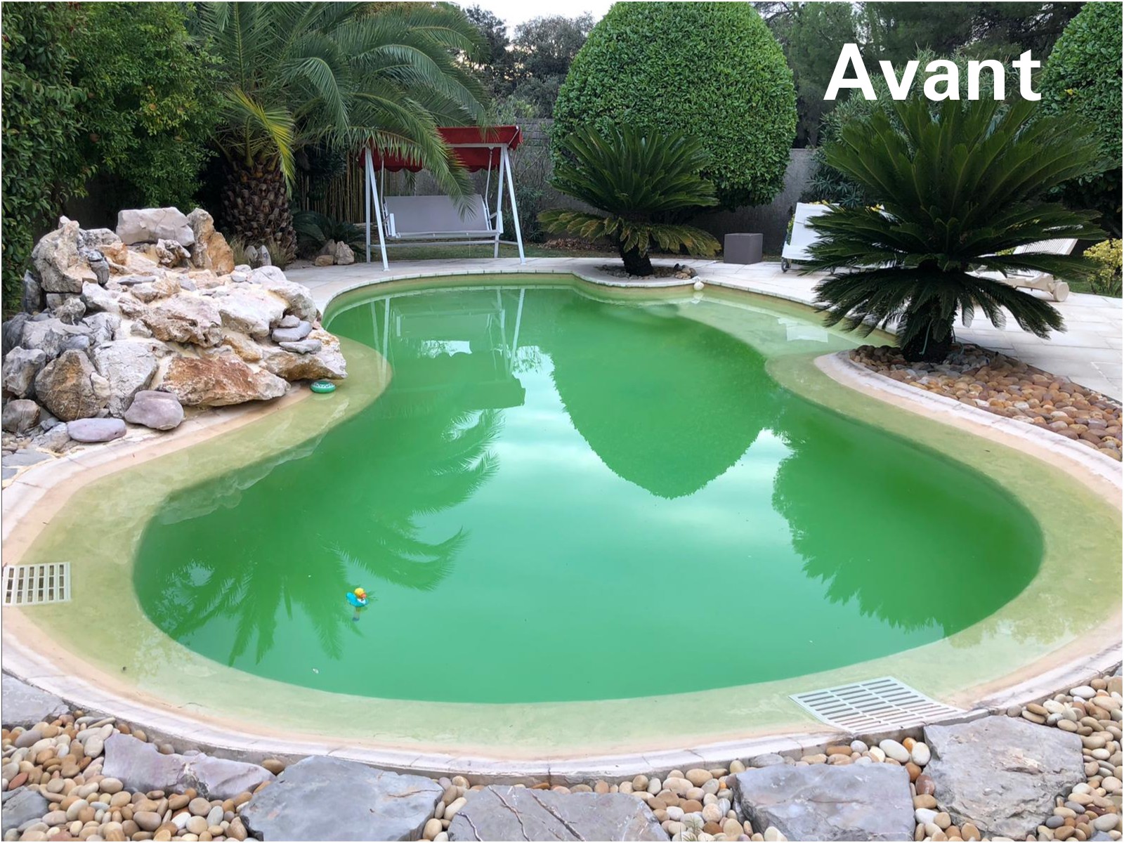 piscine avec eau verte et sale