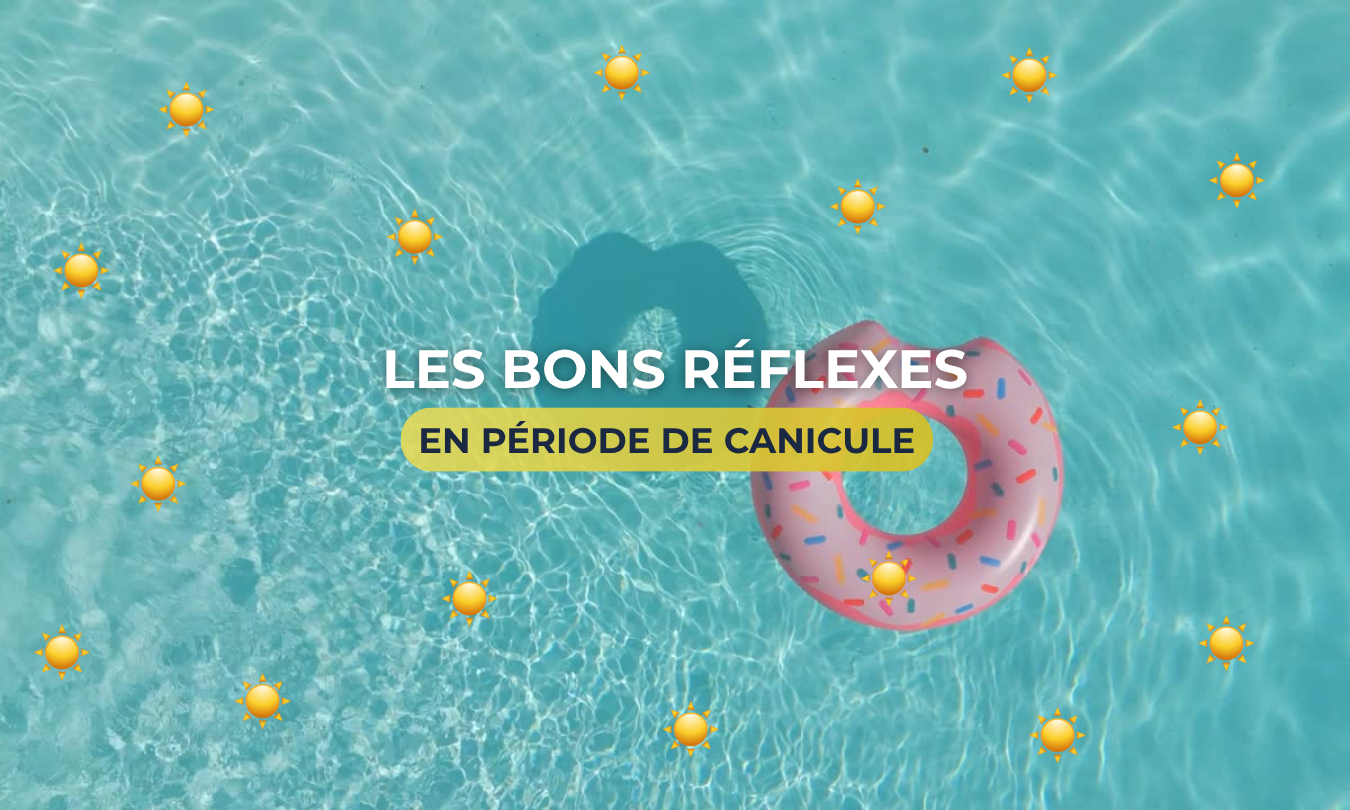 Les bons reflexe en canicules
